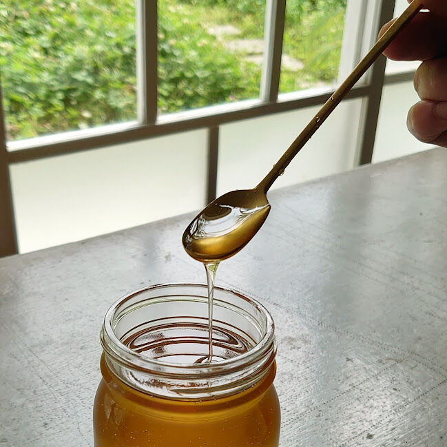 6月のはちみつ540g | KURARI