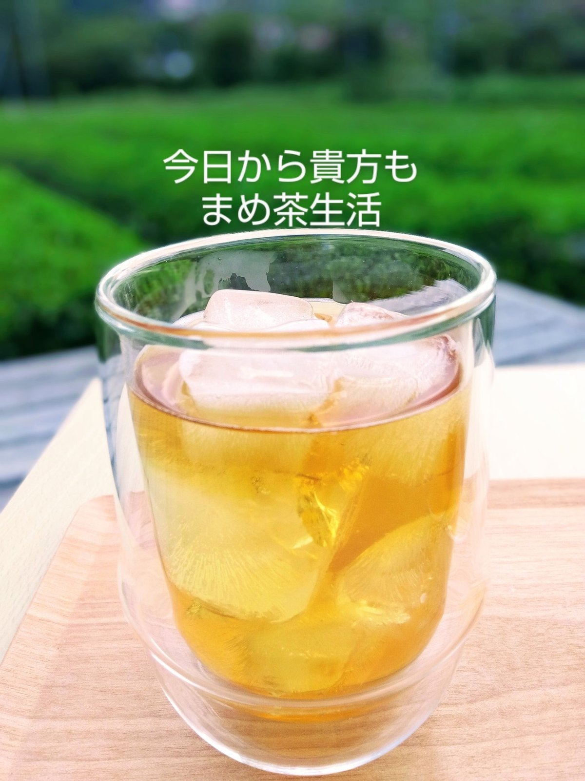 まめ茶ティーバッグ4g×24個入り | まめ茶の秀翠園