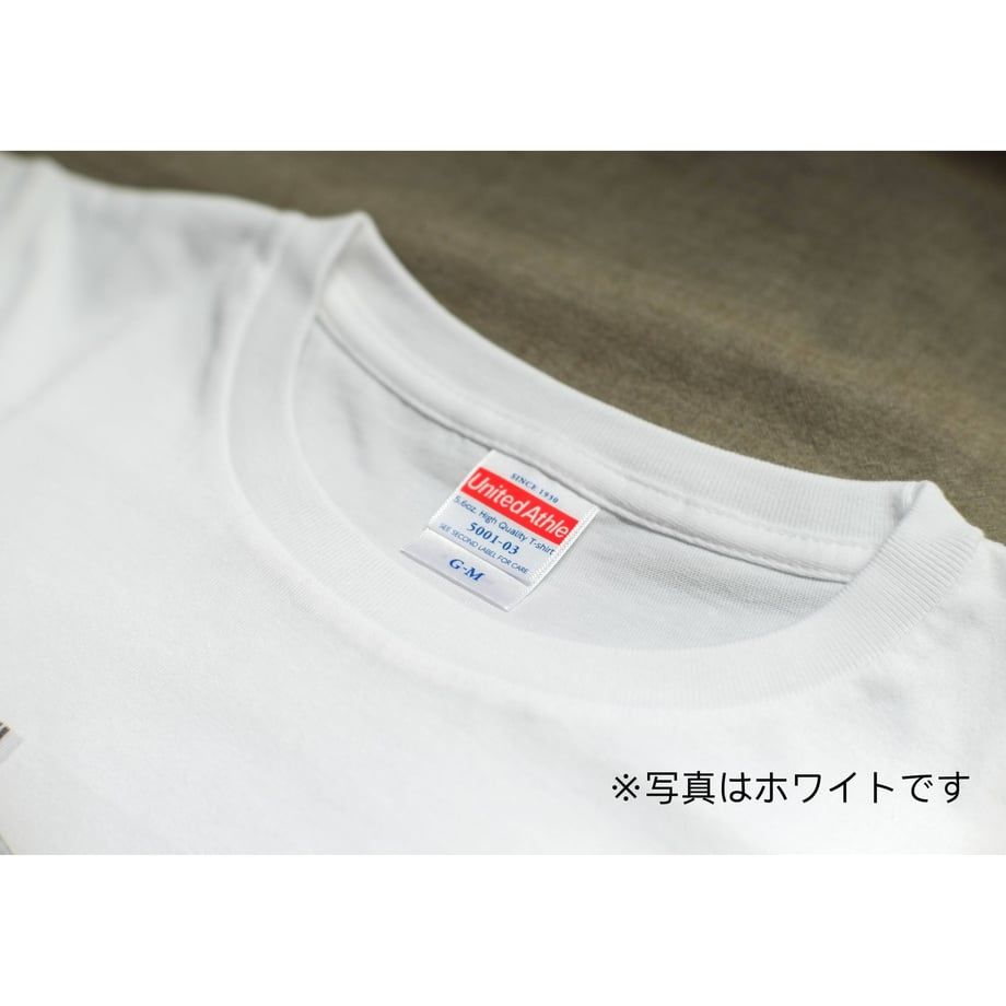 60c1e8f4b5285a043bc56d95
