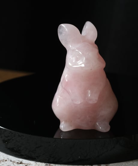 2匹のうさぎ（濃いカラー）
