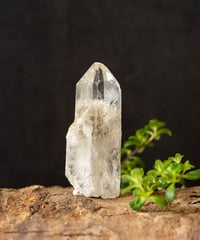 ヒマラヤ水晶ポイント★パールヴァティ渓谷