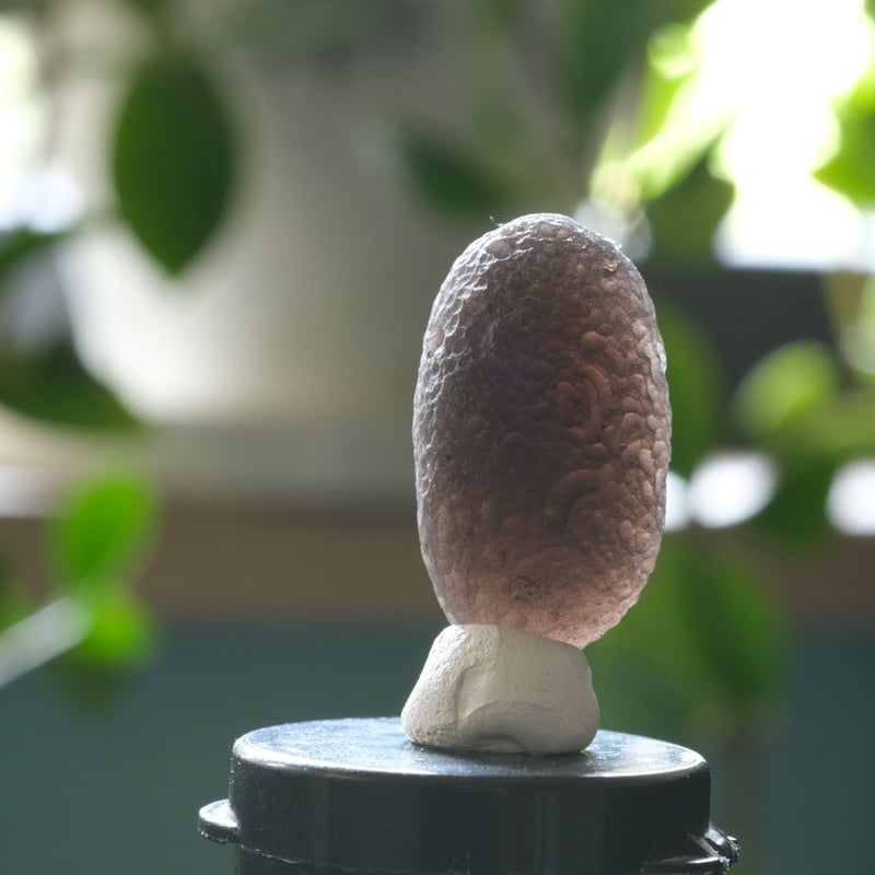 チンターマニストーンの原石☆ 細長 | E Ku'u Crystal チンターマニストーンの原石☆ 細長 | E Ku'u Crystal