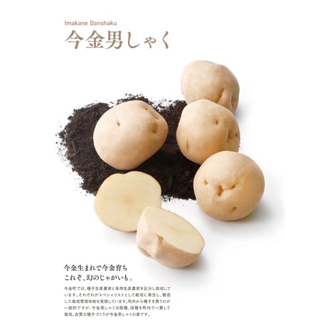 【１０月上旬頃より順次発送予定】２箱セット　令和8年産　今金男しゃく（Ｌサイズ１０ｋｇ・ＬＭサイズ１０ｋｇ）