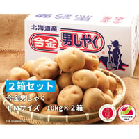 【１０月上旬頃より順次発送予定】２箱セット　令和8年産　今金男しゃく（ＬＭサイズ・１０ｋｇ×２）