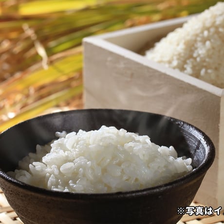 【100%今金のお米】今金濃米 ～ゆめぴりか～　１箱（24個✕200g）