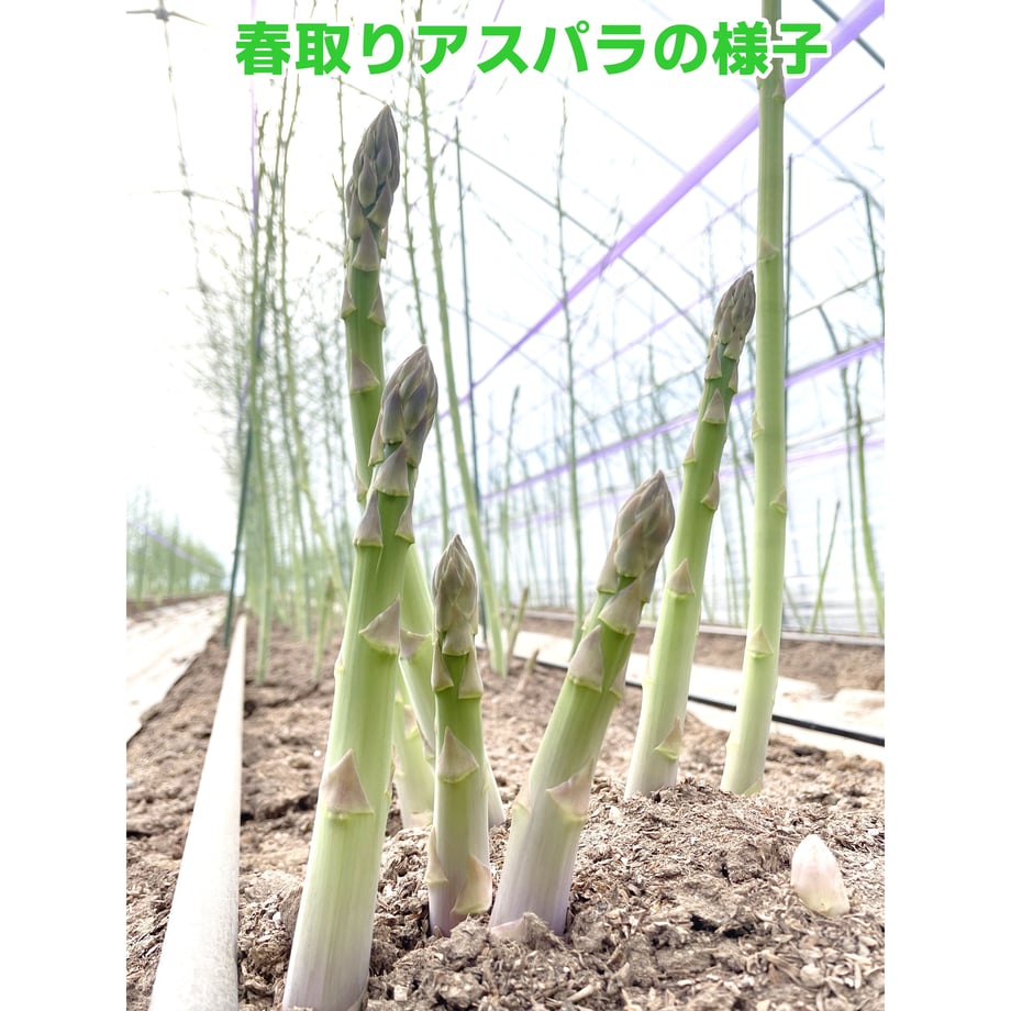 64891c32fdfc8d004543cc64