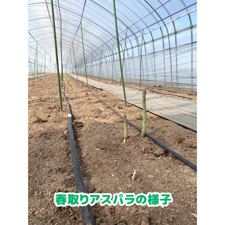 64891c8abcb4c4002ea03573