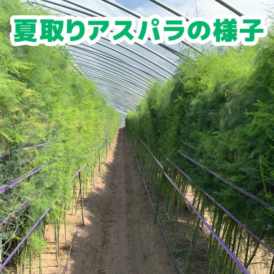 64891c32fdfc8d004543cc64