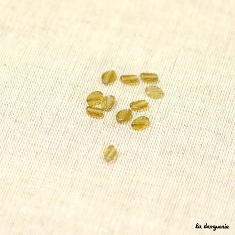 Perle Cellophane grain de café | Perle 8x6 mm