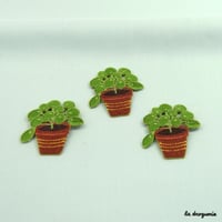 Ecusson « Plante Piléa »