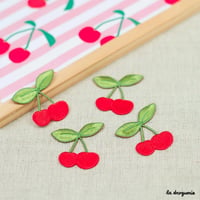 Ecusson Agrément fruit cerise | Ecusson á thermocoller 40x38 mm