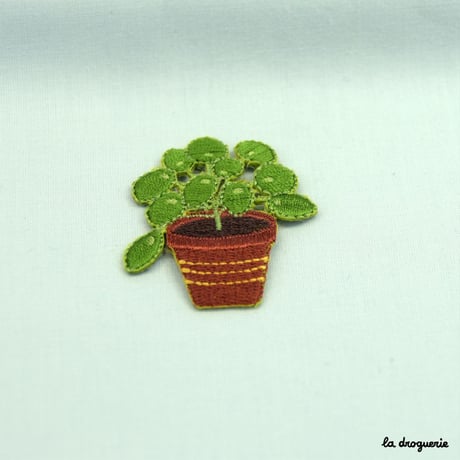 Ecusson « Plante Piléa »