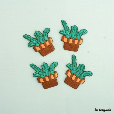 Ecusson « Plante Crassula »