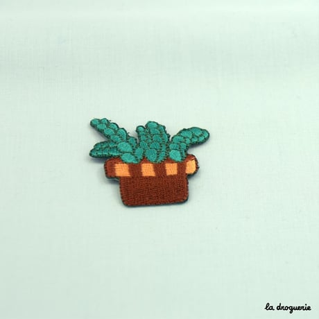 Ecusson « Plante Crassula »