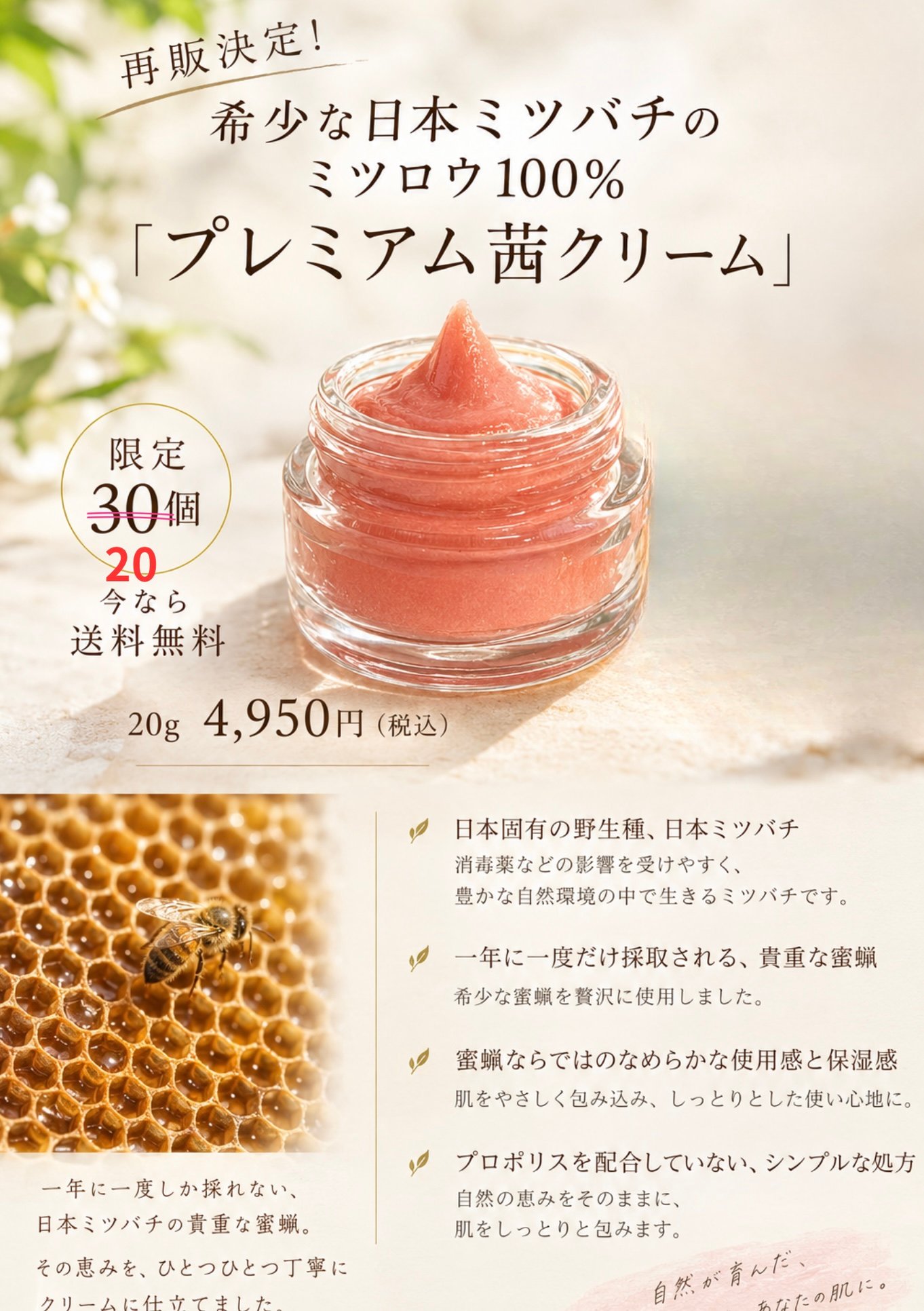 プレミアム茜クリーム 再販決定