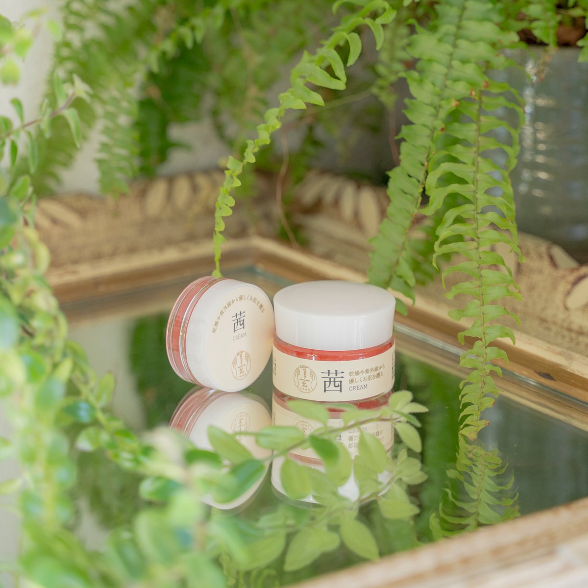 b. アミノン化粧品 ロイヤルジュエリークリームS保湿クリーム 4個