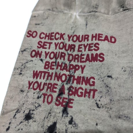 BEASTIE BOYS ビースティボーイズ Tシャツ ラップTシャツ サンド  CHECK YOUR HEAD S/S TEE WASH