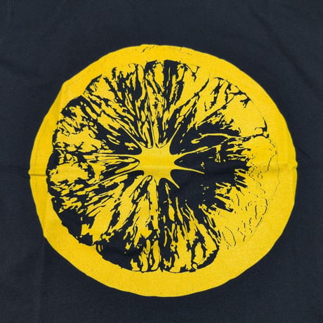 THE STONE ROSES ザ・ストーンローゼズ Tシャツ バンドTシャツ ブラック Tour 2016 S/S TEE