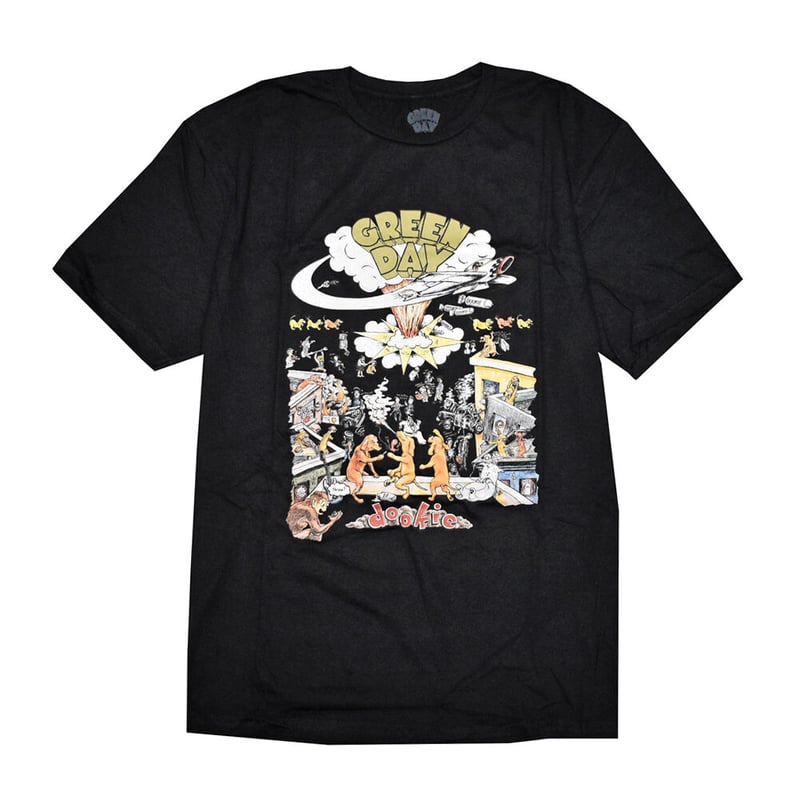 GREEN DAY グリーンデイ Tシャツ バンドTシャツ ブラック 1994 TOUR S/