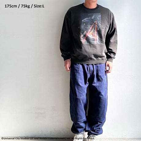 SCREEN STARS スクリーンスターズ BACK TO THE FUTURE クルーネックスウェット ブラック 2523-090SSBTPG/MV1D