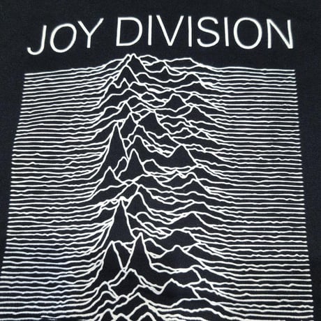 JOY DIVISION ジョイ・ディヴィジョン スウェットパーカー フーディー バンドスウェット ブラック Unknown Pleasures FP HOODIE