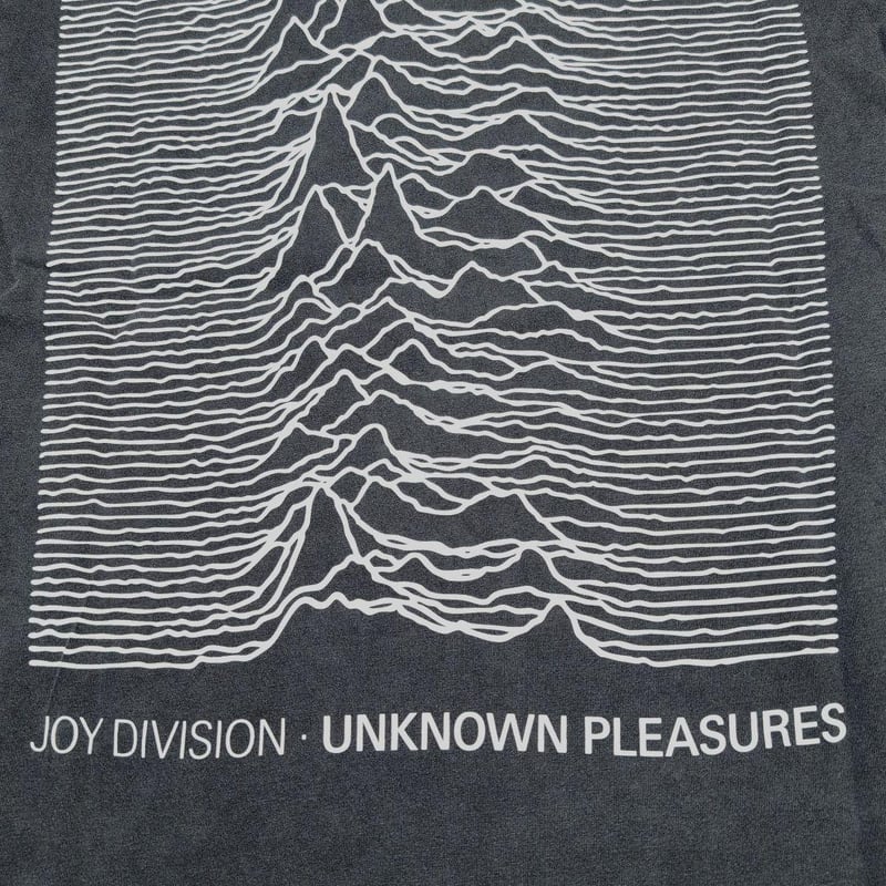 USA製 JOY DIVISION ジョイディヴィジョン Tシャツ Joy Division バンドTシャツ ジョイ・ディヴィジョン Plus/Minus