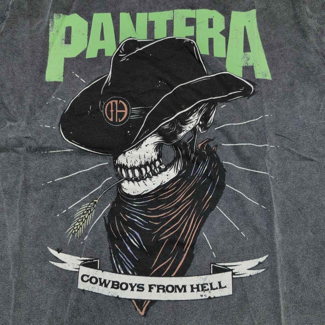 PANTERA パンテラ Tシャツ バンドTシャツ チャコールグレー SKELETON