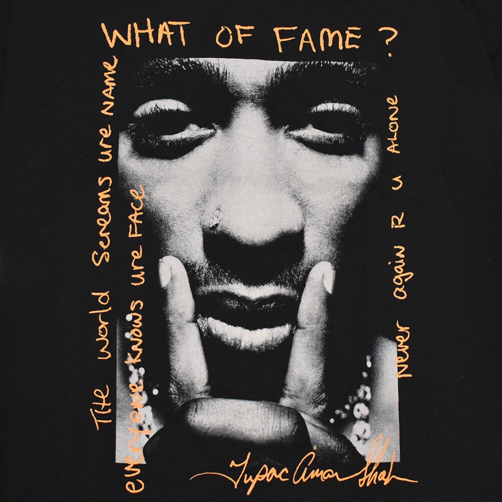 Stussy 2Pac Who shot Tupac shakue Lサイズ Stussy 2Pac Who shot