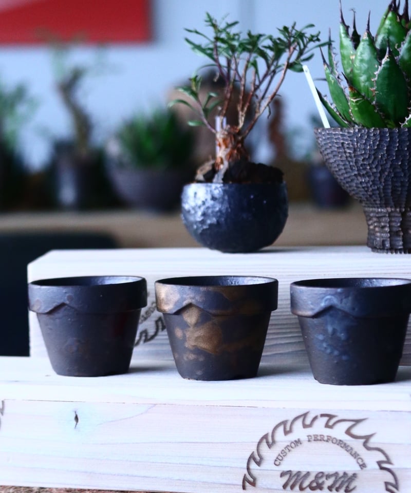 MASSES×M&M Mulch Box 芽の巣山 MASSES×M&M Mulch Box 芽の巣山