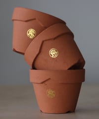 TERRACOTTA