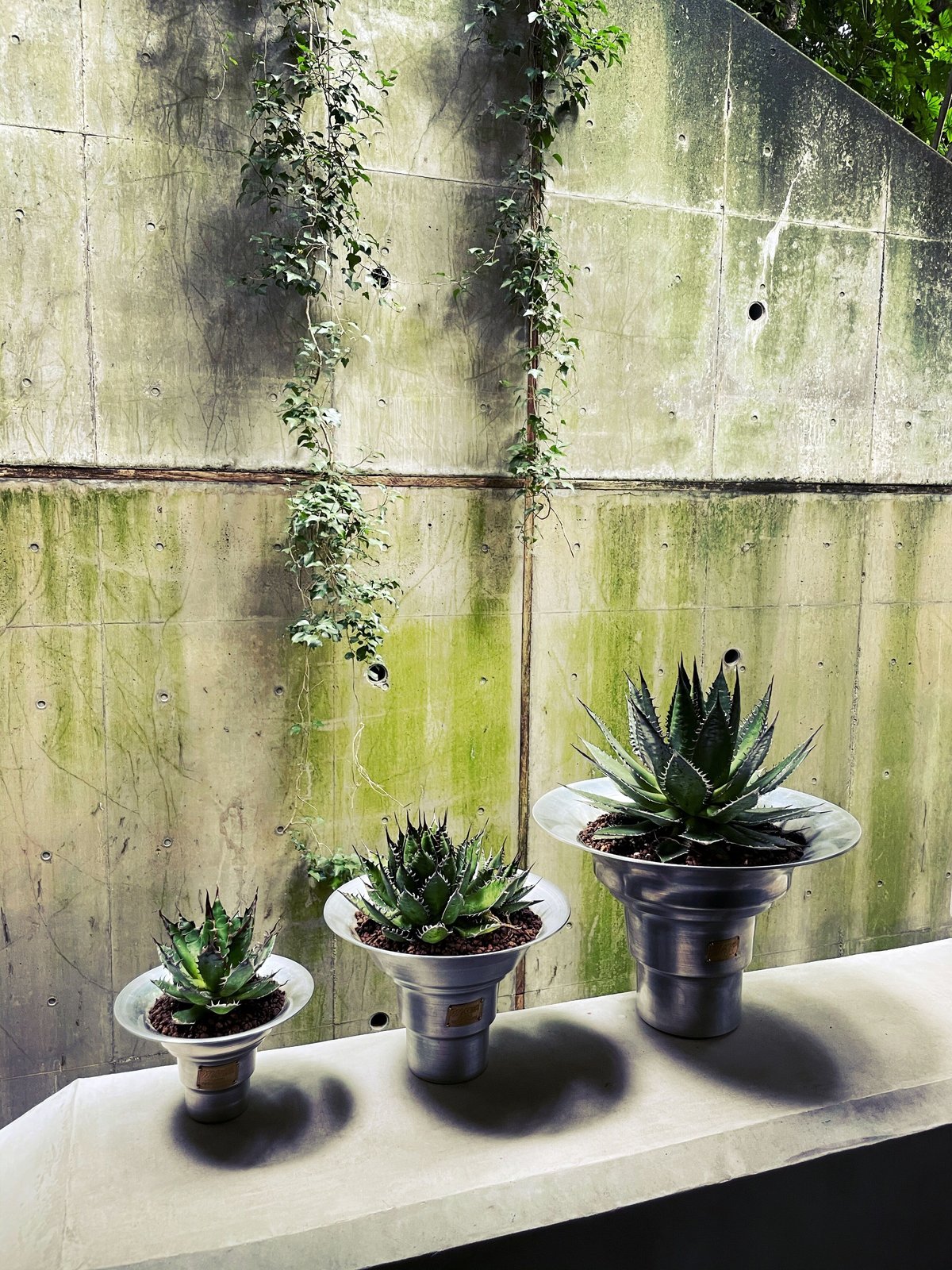 マシス MASSES TYPE2【Shade】Aluminum Sサイズ fit=scale-down,w=1200