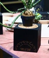 MULCH CUBE BIG＋TURNTABLE MASSES×M&M