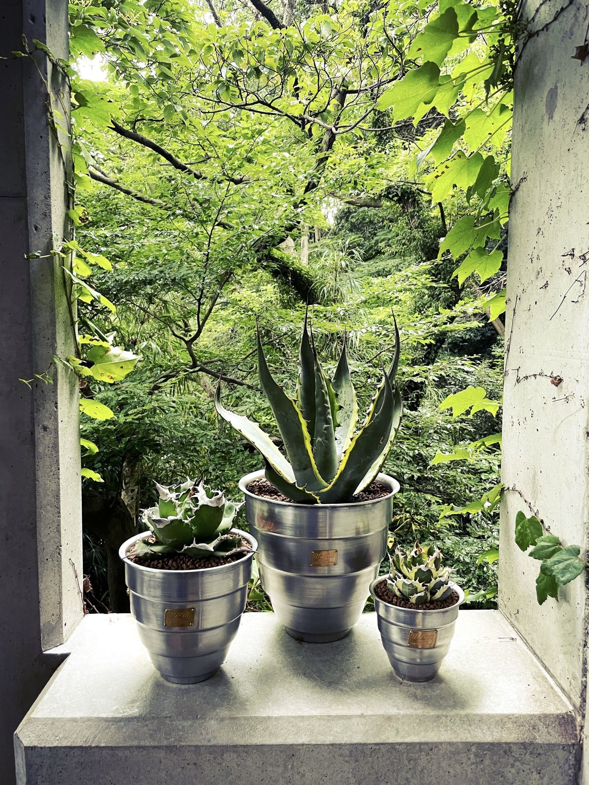 MASSES マシスTYPE1 【Chrysails 】Aluminum L fit=scale-down,w=1200