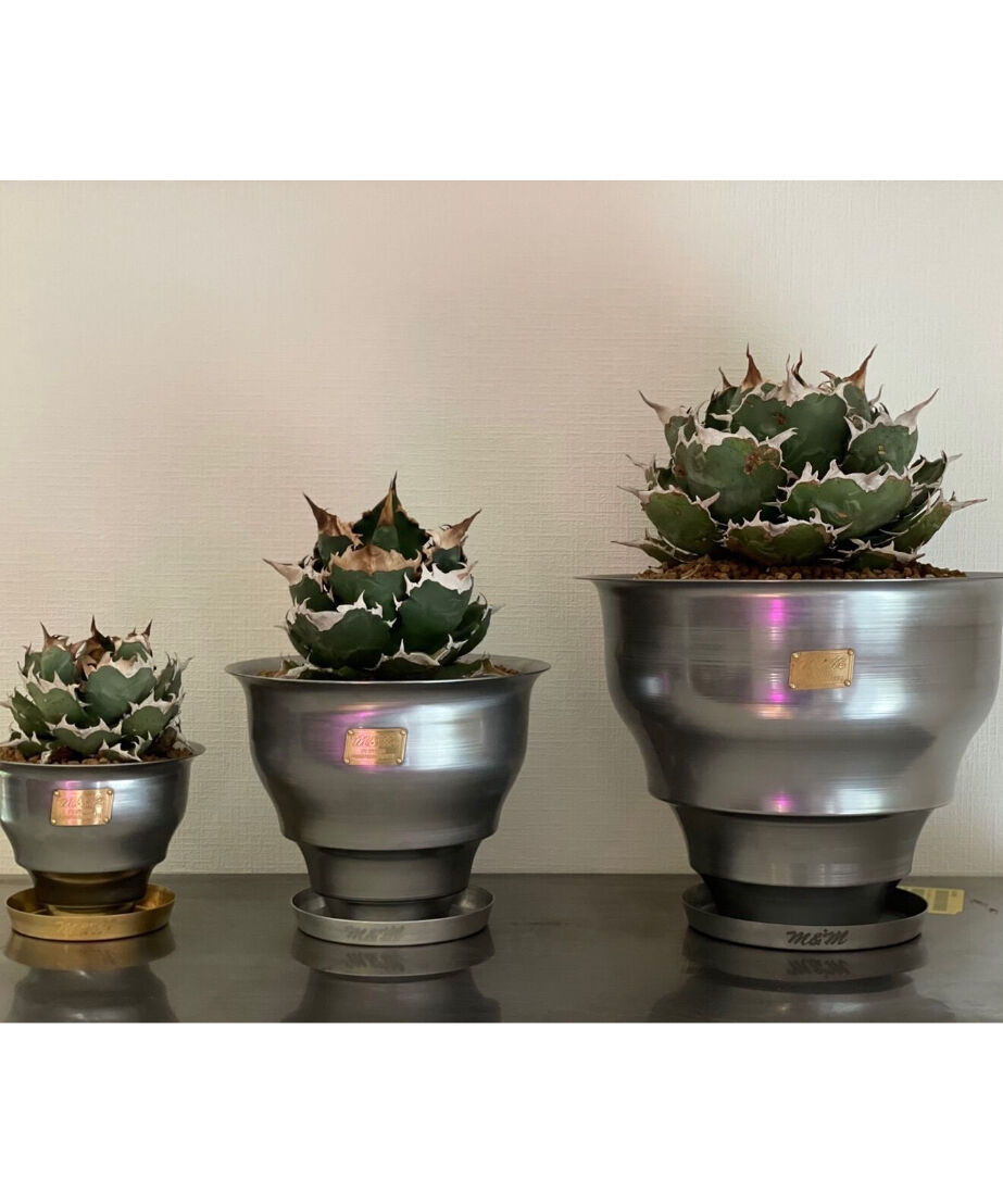 M&M masses TYPE2 STEEL 鉢 Msize 鉄鉢 About MASSES × M&M CUSTOM