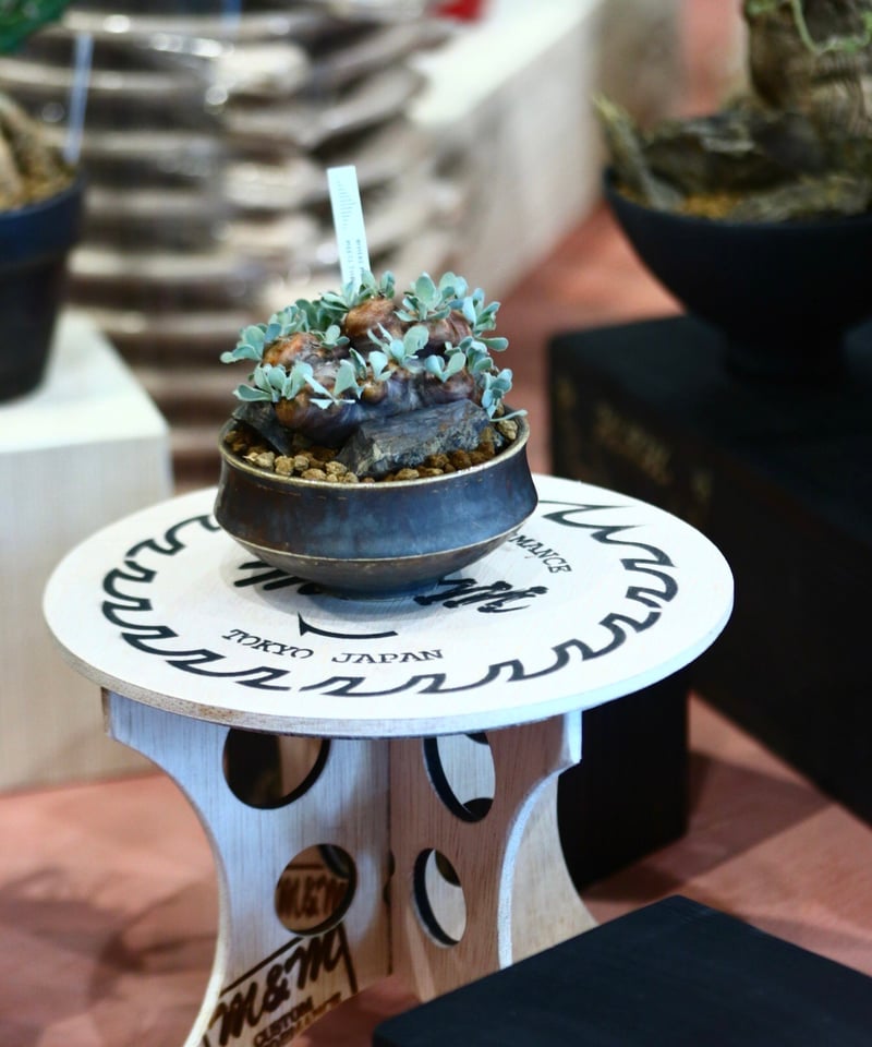 M&M MASSES 4点セット M&M MASSES 4点セット M&M MASSES 4点セット CATEGORY M&M