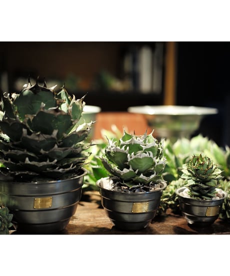 TYPE4【Termit】Iron