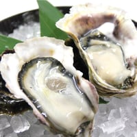 【南三陸産】生牡蠣　むき身500g