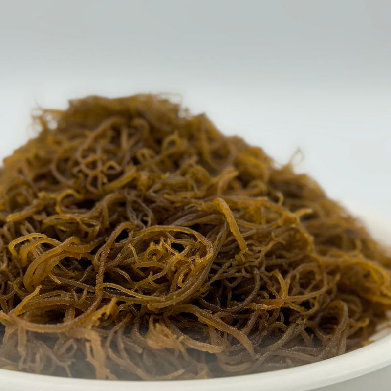 沖縄県産もずく 楽天市場】【ふるさと納税】天然もずく・業務用18kg入り一斗缶 | 沖縄