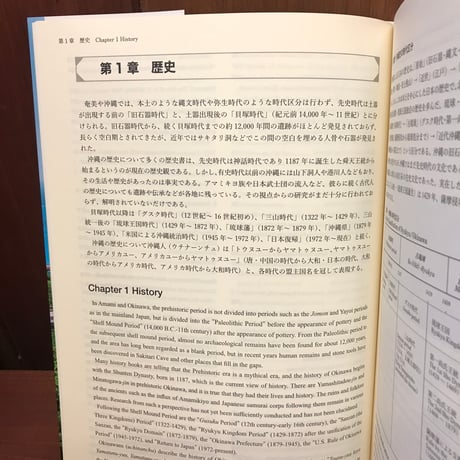 沖縄文化への招待　歴史・伝統・日常生活の日本語と英語による概説