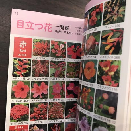 沖縄の身近な植物図鑑