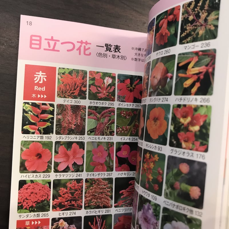 沖縄の身近な植物図鑑 | 市場の古本屋ウララ 通信販売部 沖縄の身近な植物図鑑 | 市場の古本屋ウララ 通信販売部