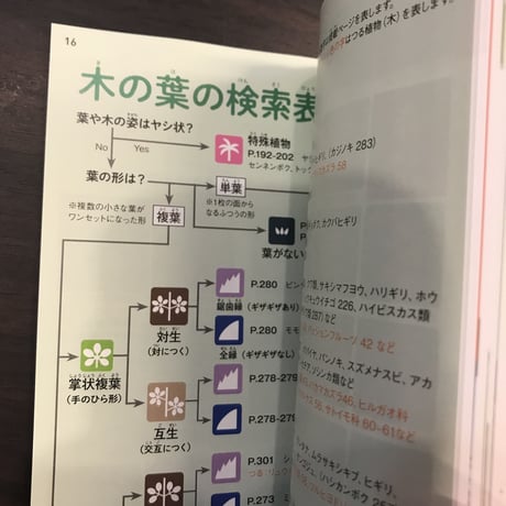 沖縄の身近な植物図鑑