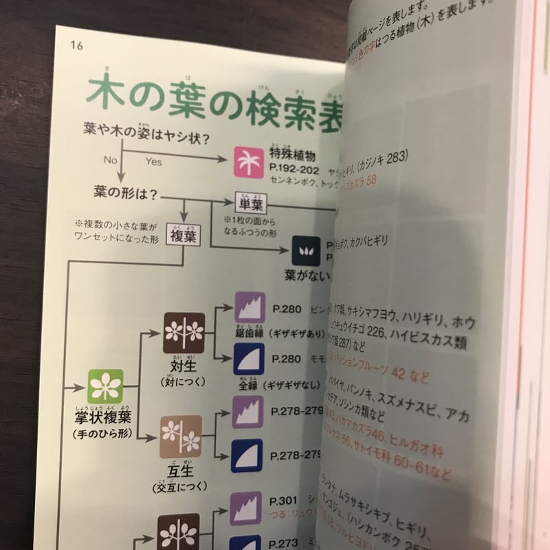 沖縄の身近な植物図鑑 | 市場の古本屋ウララ 通信販売部 沖縄の身近な植物図鑑 | 市場の古本屋ウララ 通信販売部