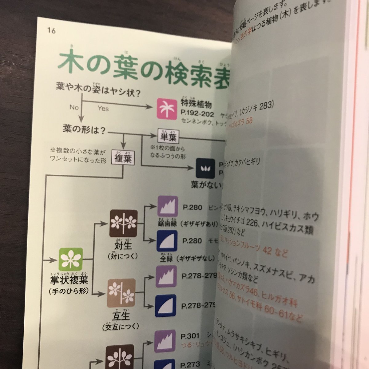 fit=scale-down,w=1200 fit=scale-down,w=1200