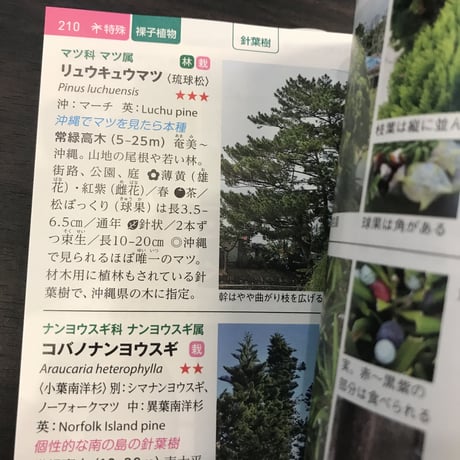 沖縄の身近な植物図鑑