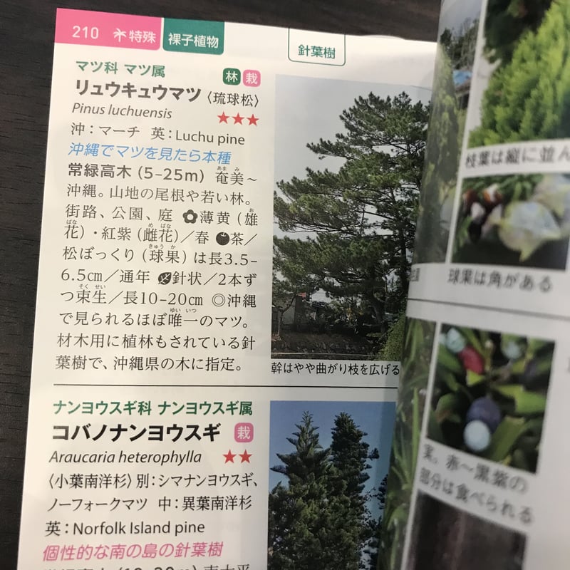 沖縄の身近な植物図鑑 | 市場の古本屋ウララ 通信販売部