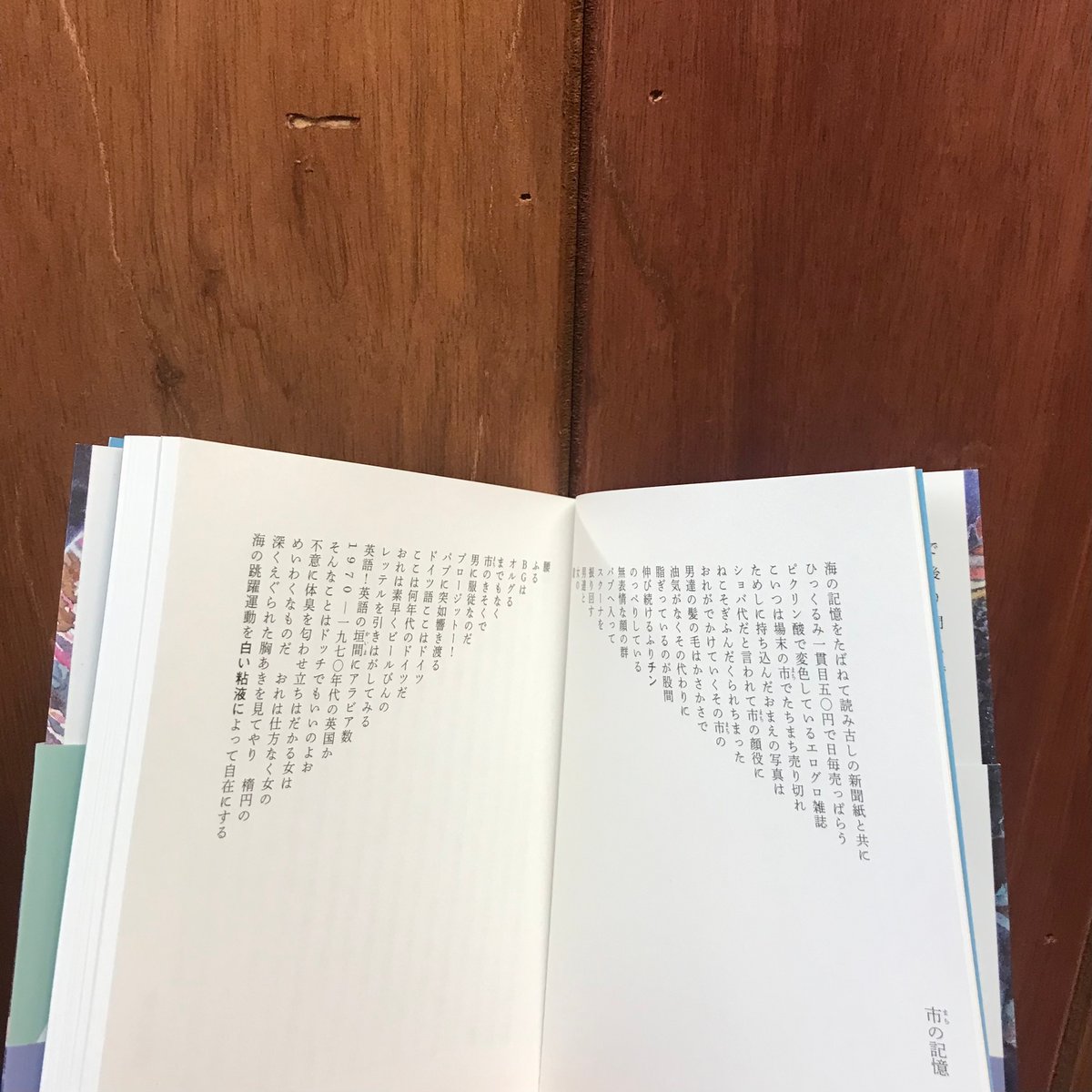 帷子耀習作抄 解説・四方田犬彦 | 市場の古本屋ウララ 通信販売部