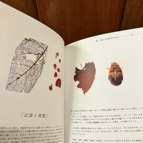 八重山、光と風の栞をはさんで　水野暁子