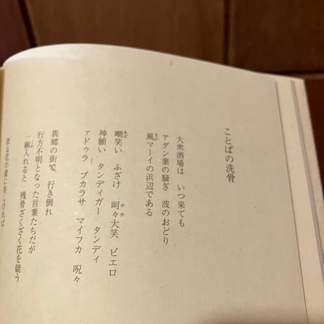 ドリームキャッチャー　川満信一詩集