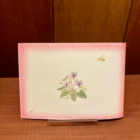 沖縄の花あいうえお　はやかわゆきこ